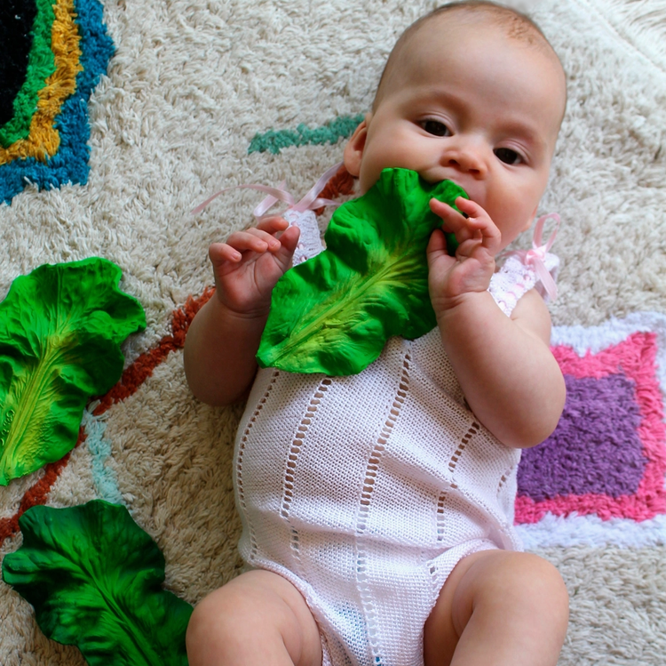 Kendall the Kale Rubber Teether Toy