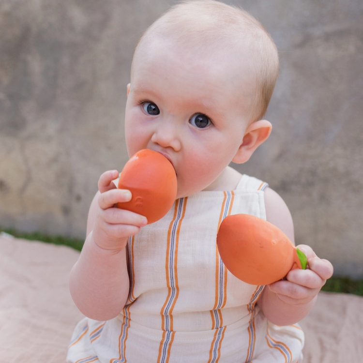 Palm Peach Rubber Teether Toy