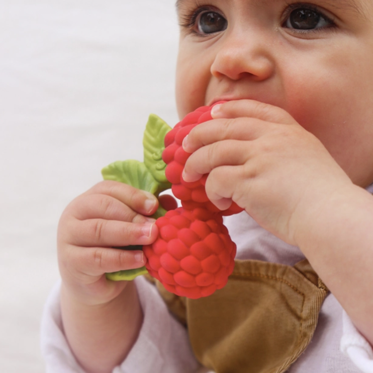 Valery the Raspberry Rubber Teether Toy