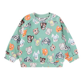 Molo Itty Bitty Sweatshirt
