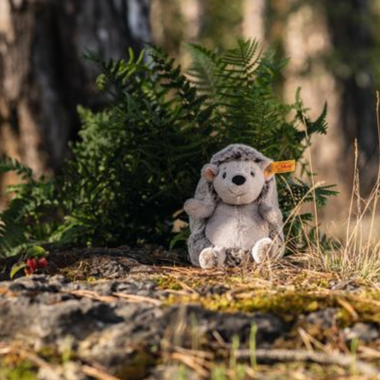 Steiff Hedgy Hedgehog 6"