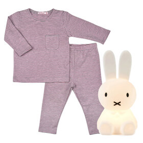 Baby Gift Set: Wings Pink Grey Stripes Playset 6m,  Miffy Bundle of Light (S)