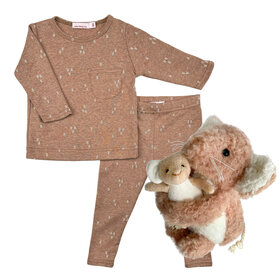 Baby Gift Set: Mini Arrows Marron Playset 6m, Camelia Mouse With Baby