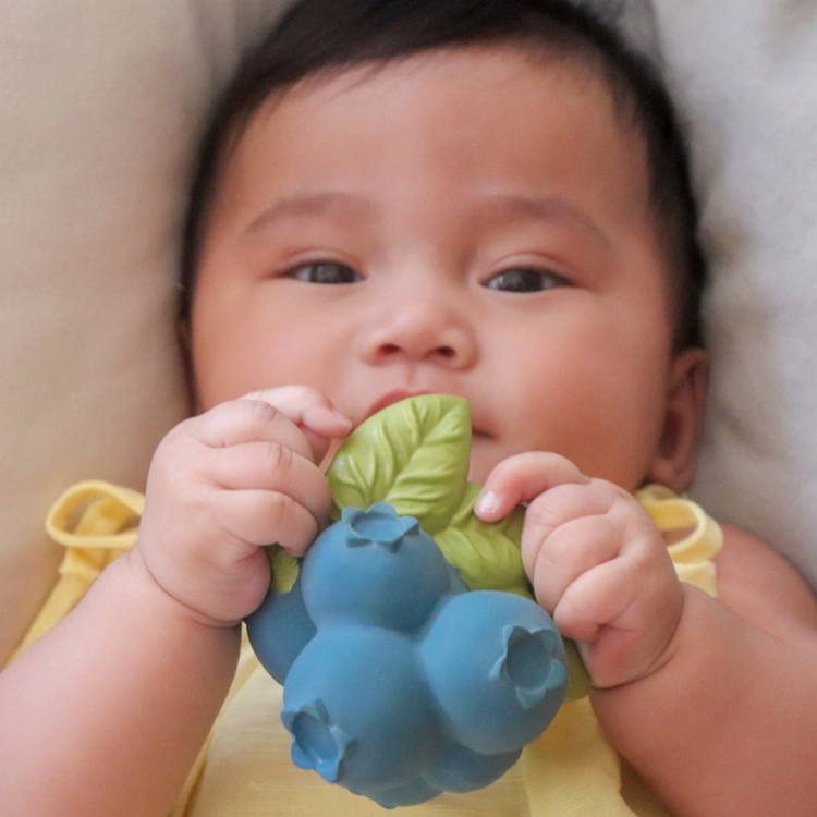 Jerry the Blueberry Natural Rubber Teether Toy