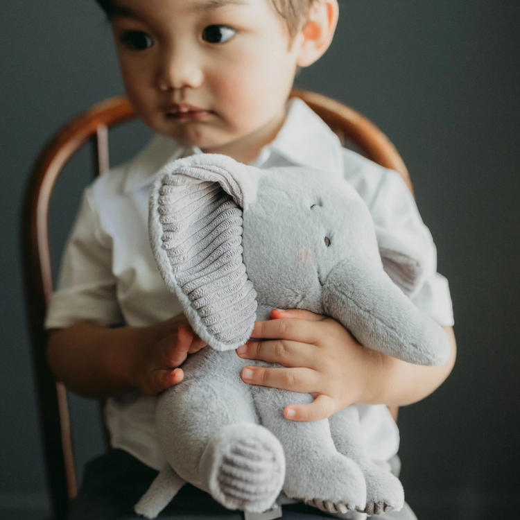 Bunnies By The Bay Penny The Elephant Little