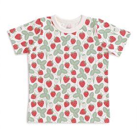 Winter Water Factory Strawberries S/S Tee