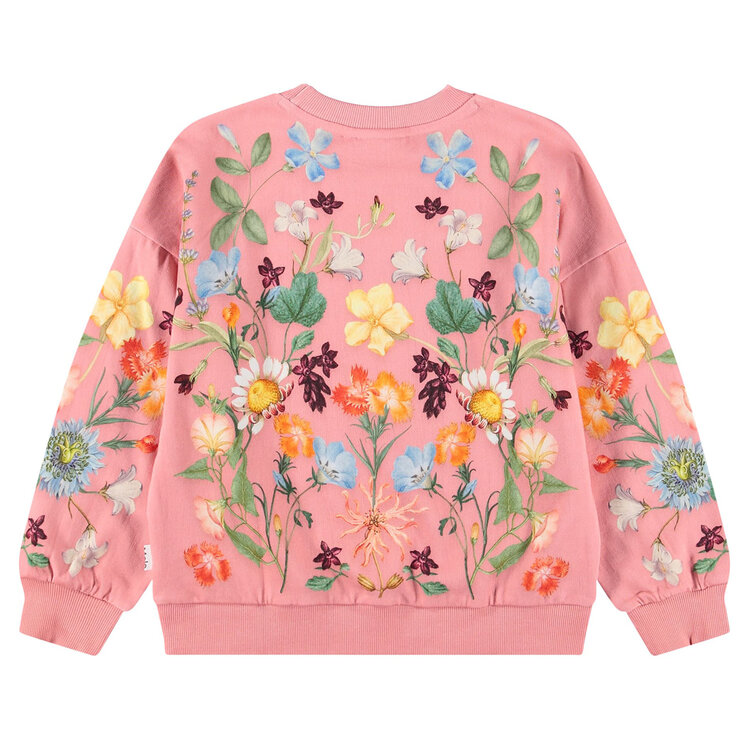 Molo Afghan Hounds Peach Maxi Sweatshirt