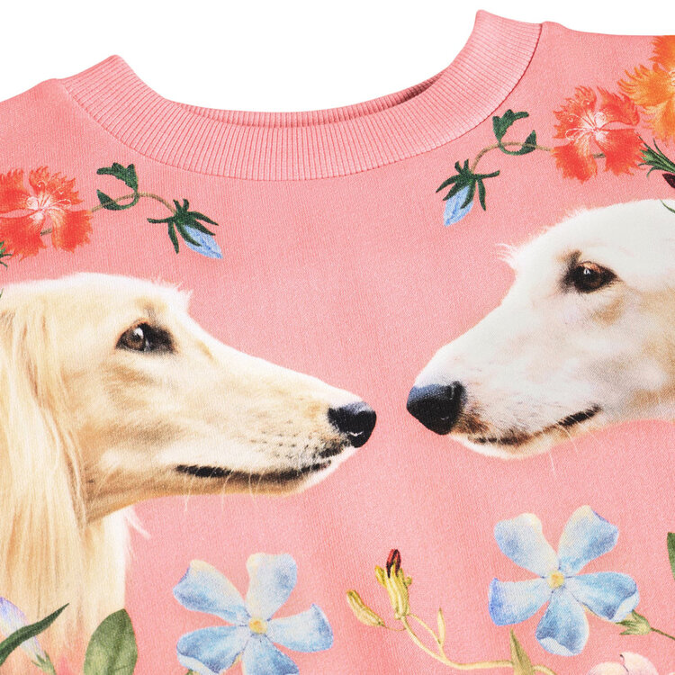 Molo Afghan Hounds Peach Maxi Sweatshirt