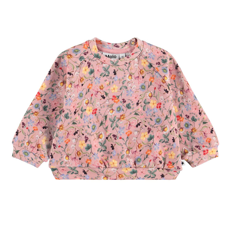 Molo Delicate Mini Infant Disc Sweatshirt