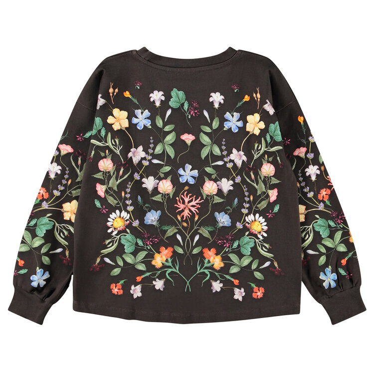 Molo Wonderland Reniza Brown L/S Tee