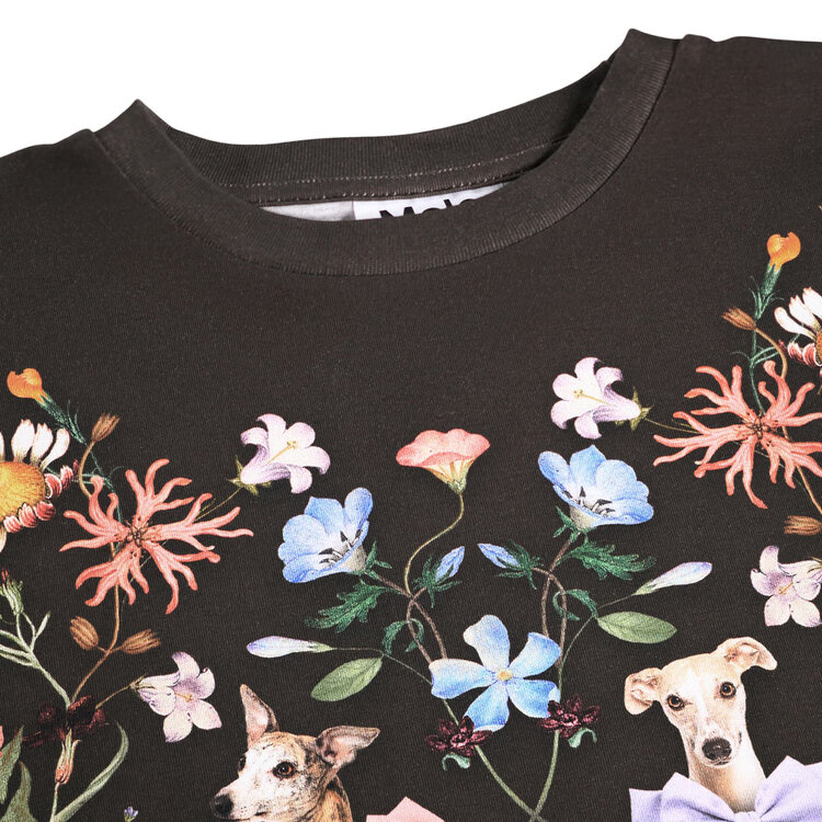 Molo Wonderland Reniza Brown L/S Tee