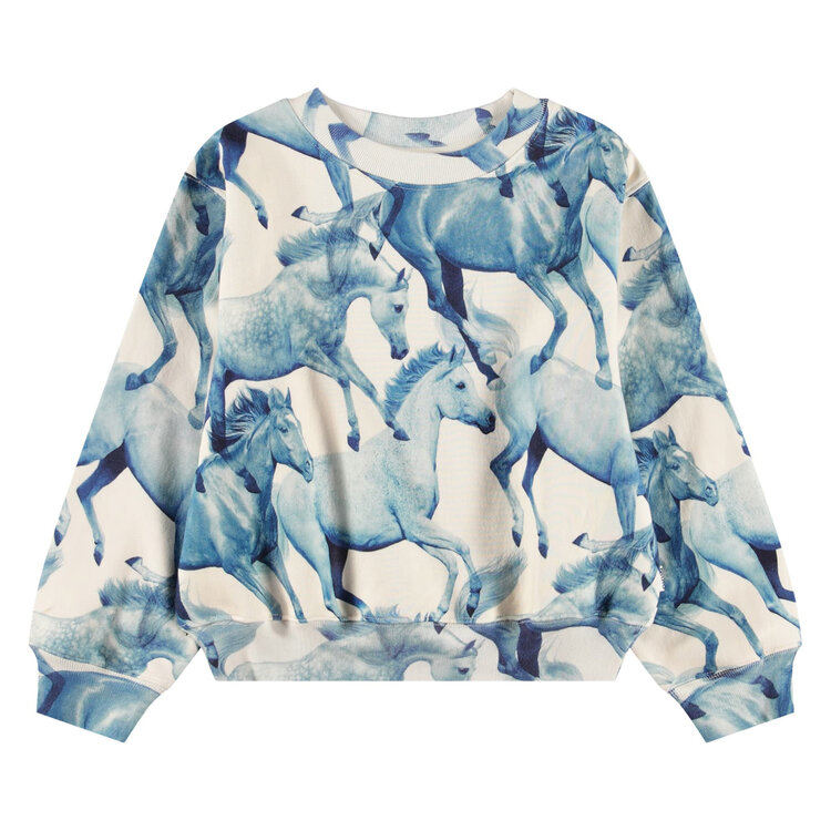 Molo Ponies Blue Sweatshirt