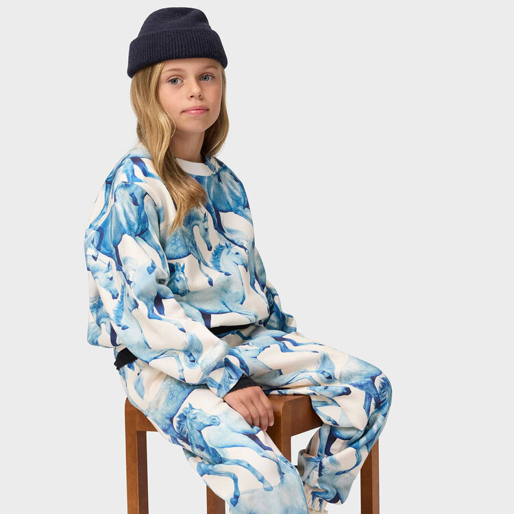Molo Ponies Blue Sweatshirt