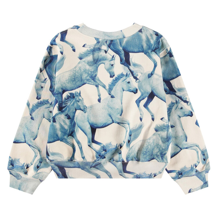 Molo Ponies Blue Sweatshirt