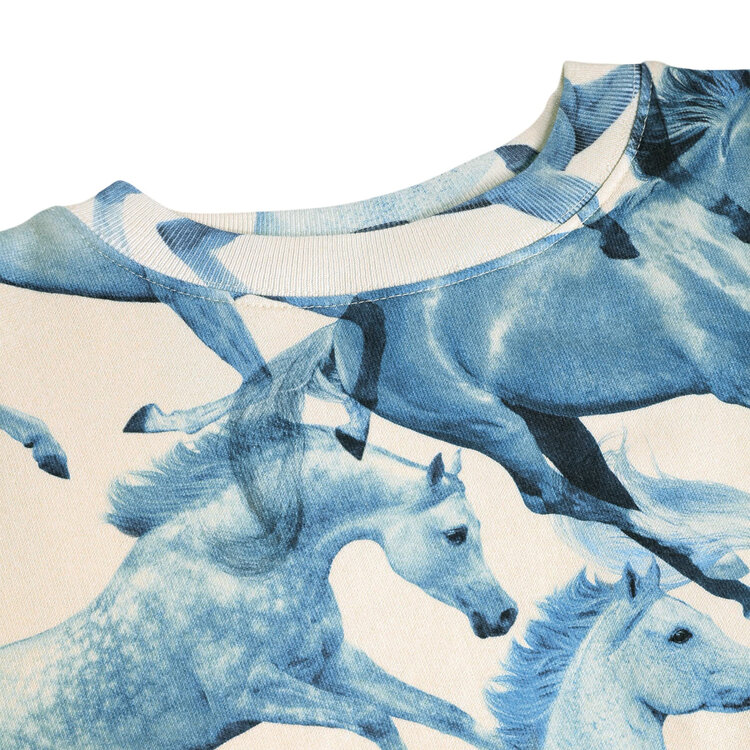 Molo Ponies Blue Sweatshirt