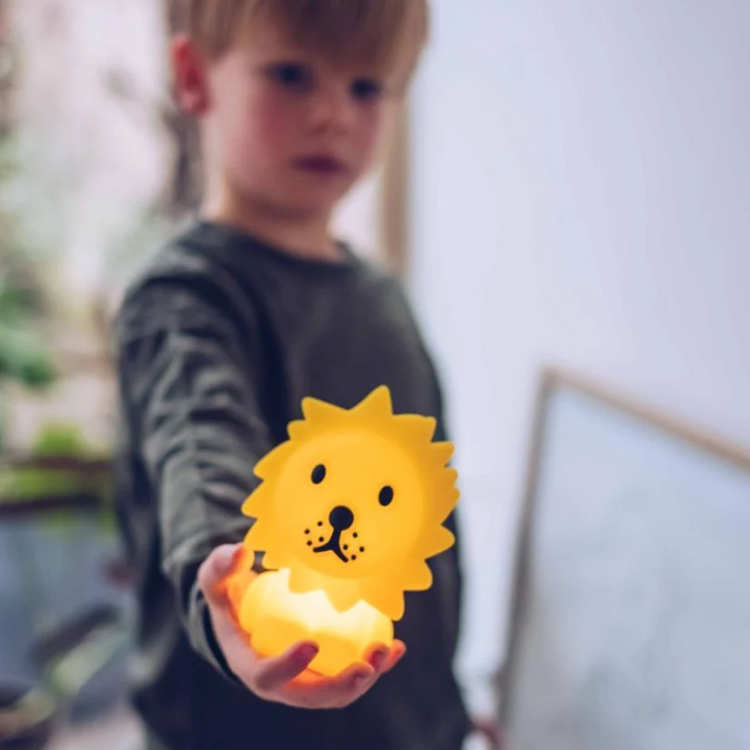 Mr. Maria Lion Bundle of Light (S)