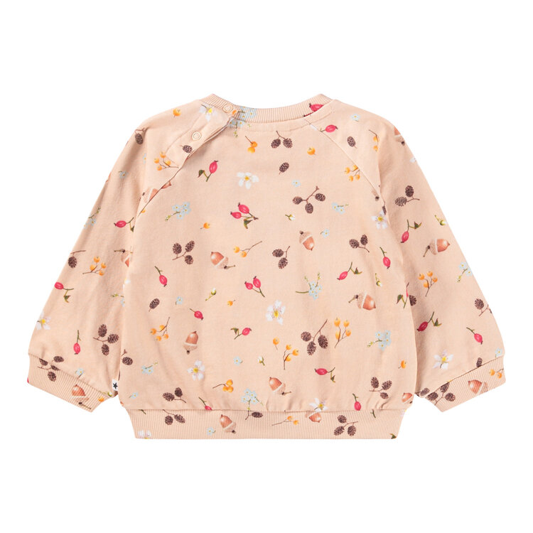 Molo Foraging Rose Infant Disc Sweatshirt