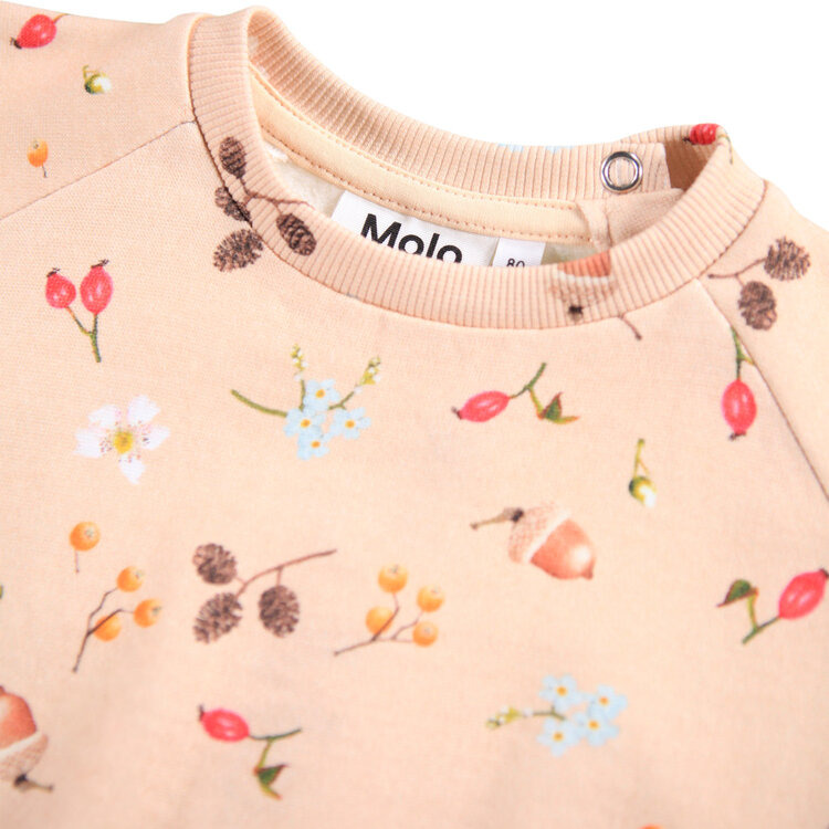 Molo Foraging Rose Infant Disc Sweatshirt