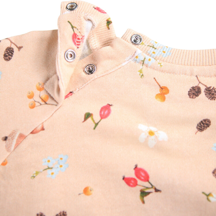 Molo Foraging Rose Infant Disc Sweatshirt