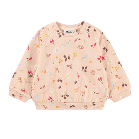 Molo Foraging Rose Infant Disc Sweatshirt