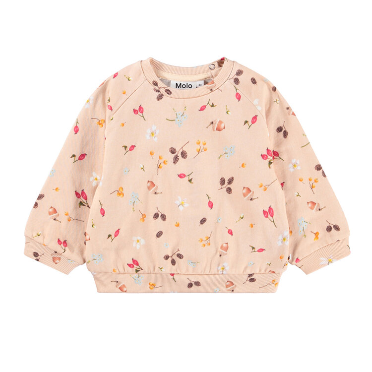 Molo Foraging Rose Infant Disc Sweatshirt