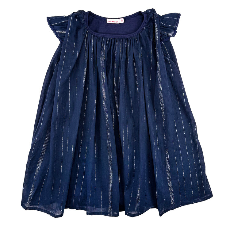 Lucky Wang Silver Stripe Indigo Dress