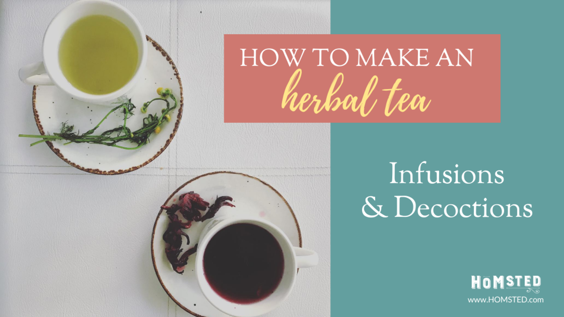How to Make an Herbal Tea Infusion & Decoction Homsted