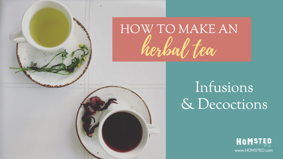 Preparation and tips for herbal teas and infusions