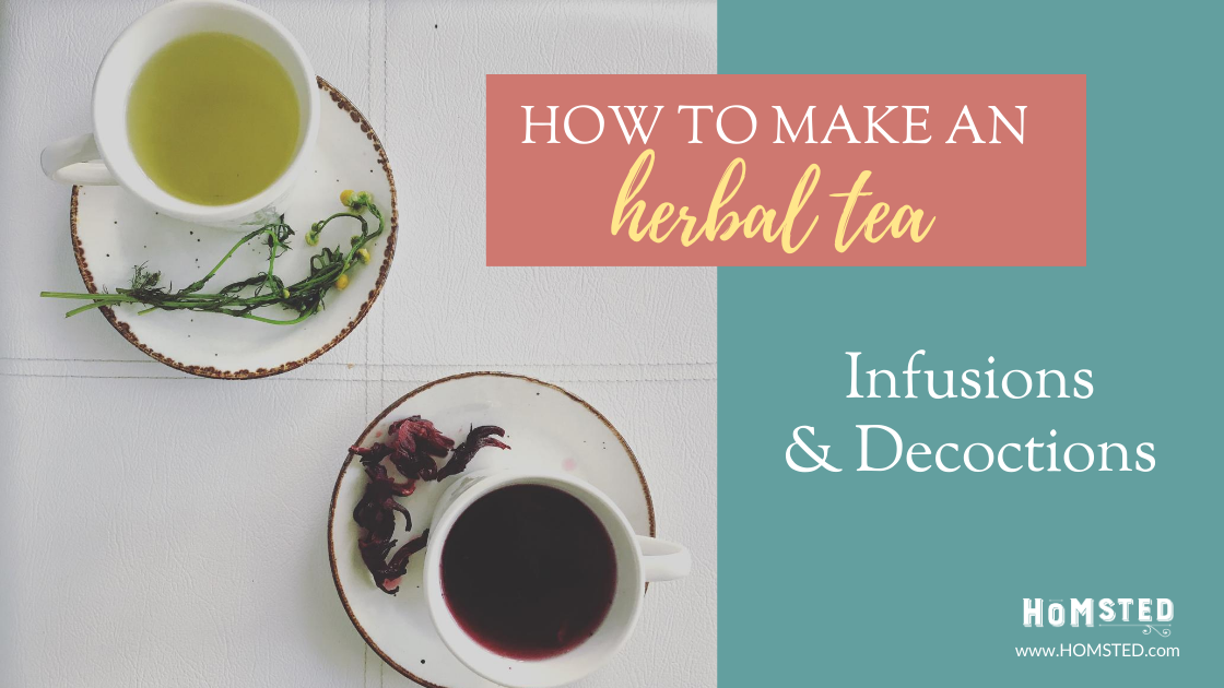 How to Make an Herbal Tea Infusion & Decoction - Homsted