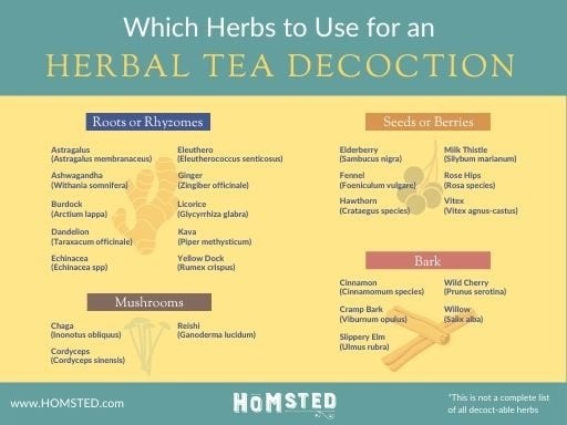 HERBAL TEAS, INFUSIONS AND DECOCTIONS: THE DIFFERENCES AND METHODS