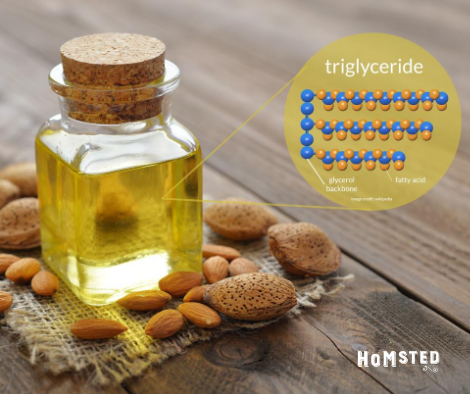 oil triglycerides