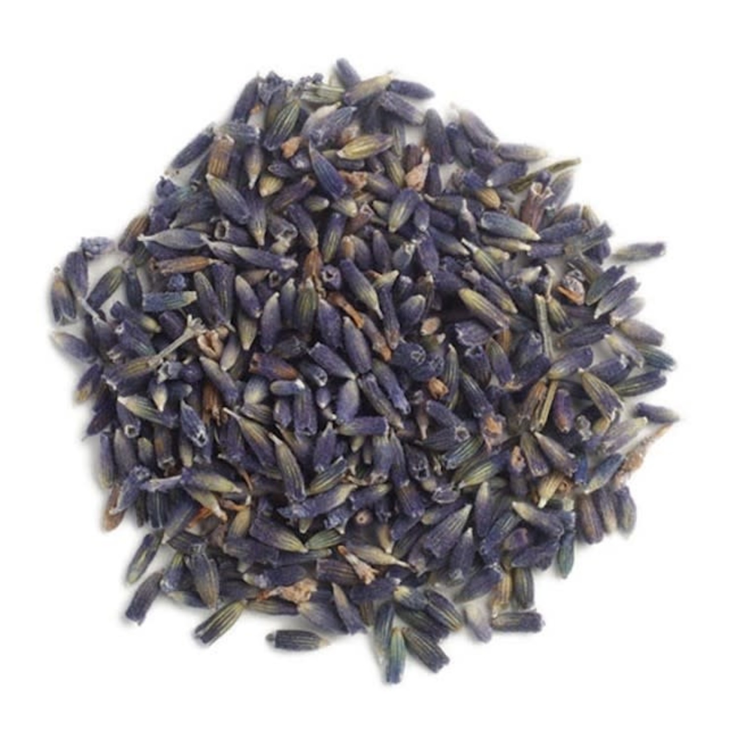 Lavender - Bulk Herb - Homsted