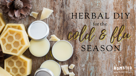 Herbal DIY for the Cold & Flu Season