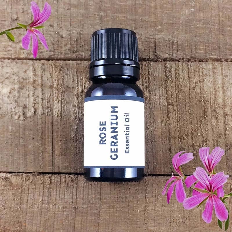 rose geranium essential oil