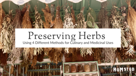 Preserving Herbs