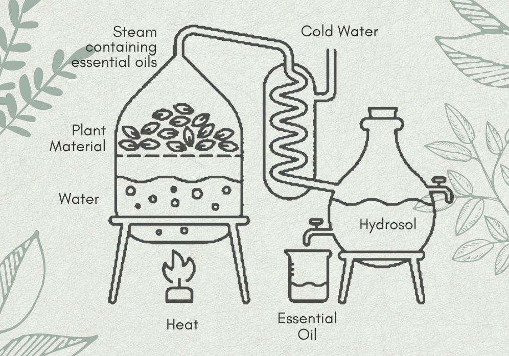 Hydrosol Distillation