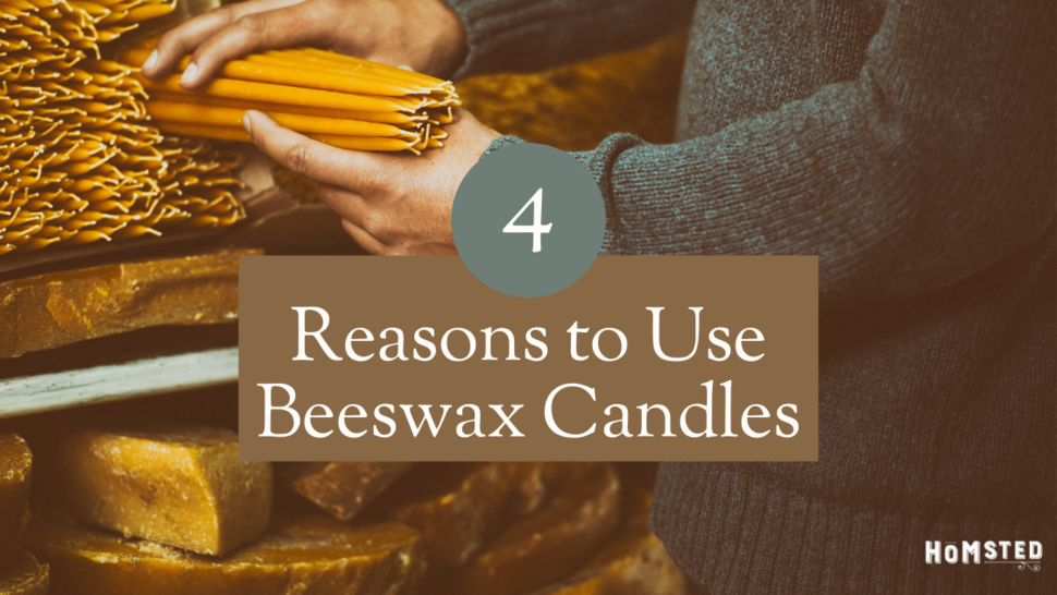 7 Reasons You Should Use Beeswax Candles in Your Home & Office