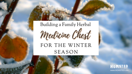 Building a Family Herbal Medicine Chest For the Winter Season