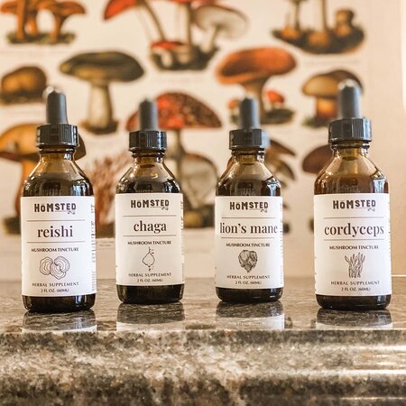 Mushroom Tinctures