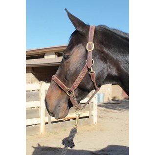 PROFESSIONAL'S CHOICE PROFESSIONAL'S CHOICE FANCY STITCHED PADDED LEATHER HALTER