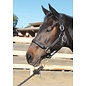 PROFESSIONAL'S CHOICE PROFESSIONAL'S CHOICE FANCY STITCHED PADDED LEATHER HALTER