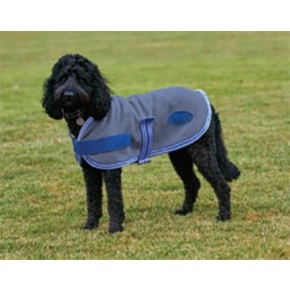 petbarn dog jackets