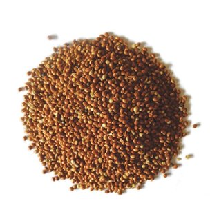RED MILLET BIRD SEED 50LB
