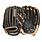 Wilson Wilson A2000 B2 w/ SS 12 Inch