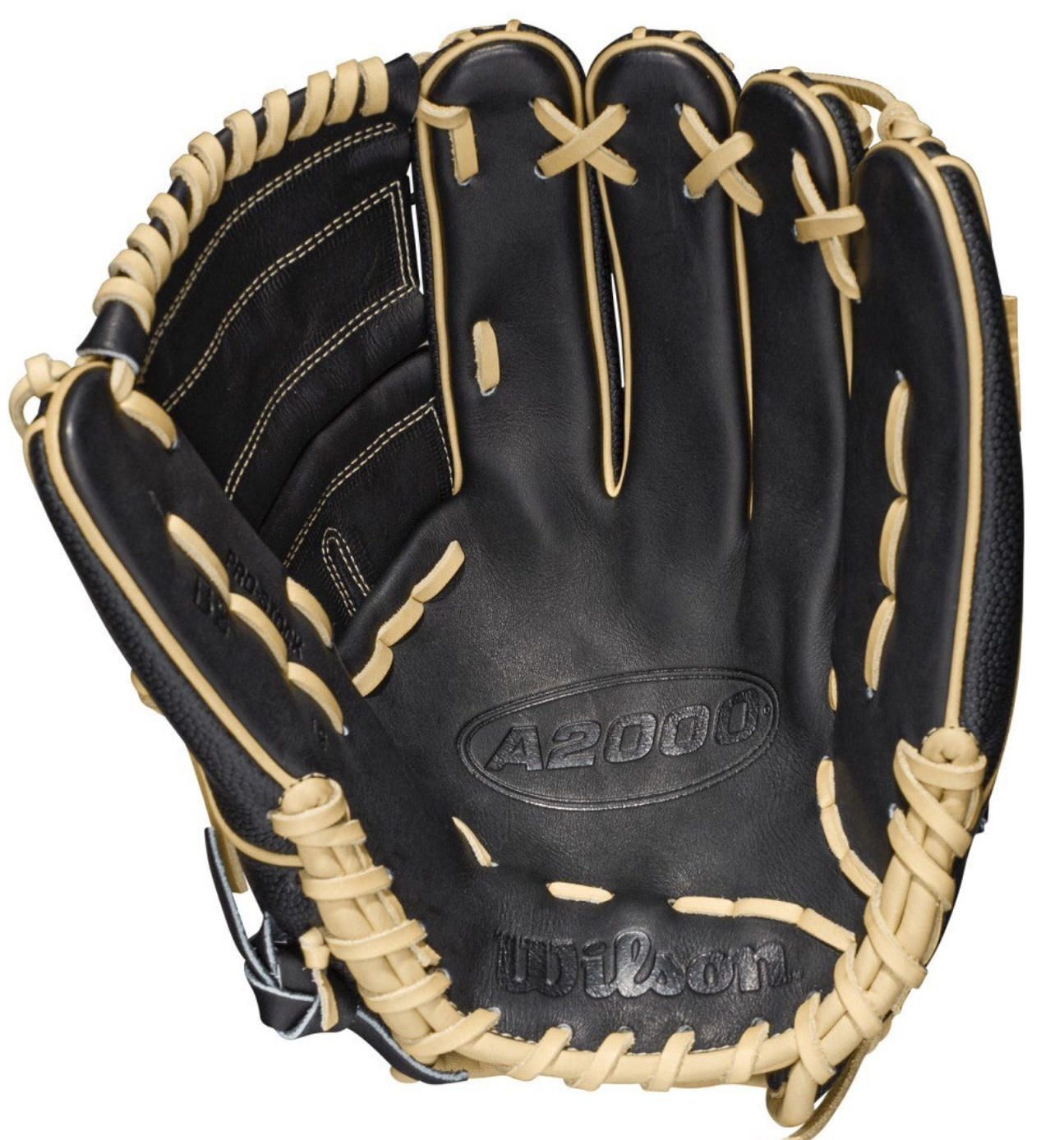 Wilson Wilson A2000 B2 w/ SS 12 Inch