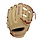 Wilson Wilson A2000 PP05 11.5