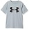 Under Armour Under Armour Tech Boys Big Logo