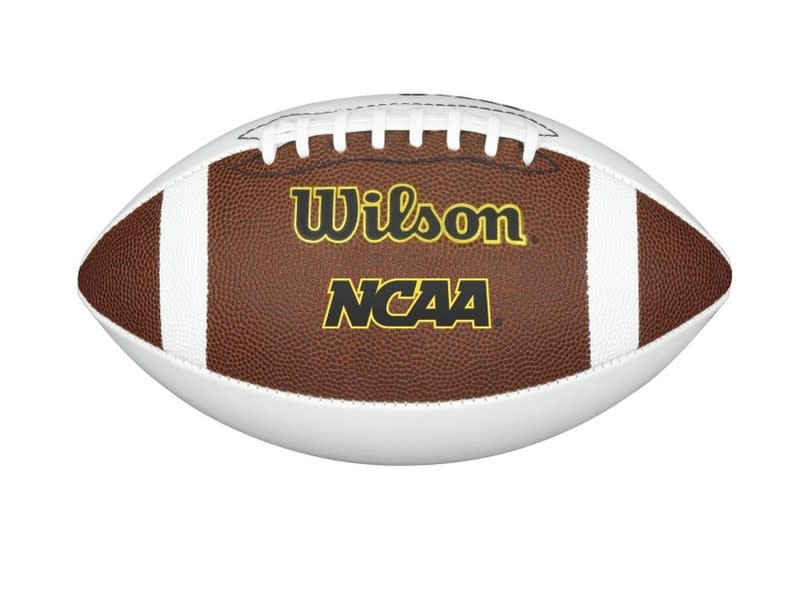 Wilson Wilson NCAA Official Autograph Ball