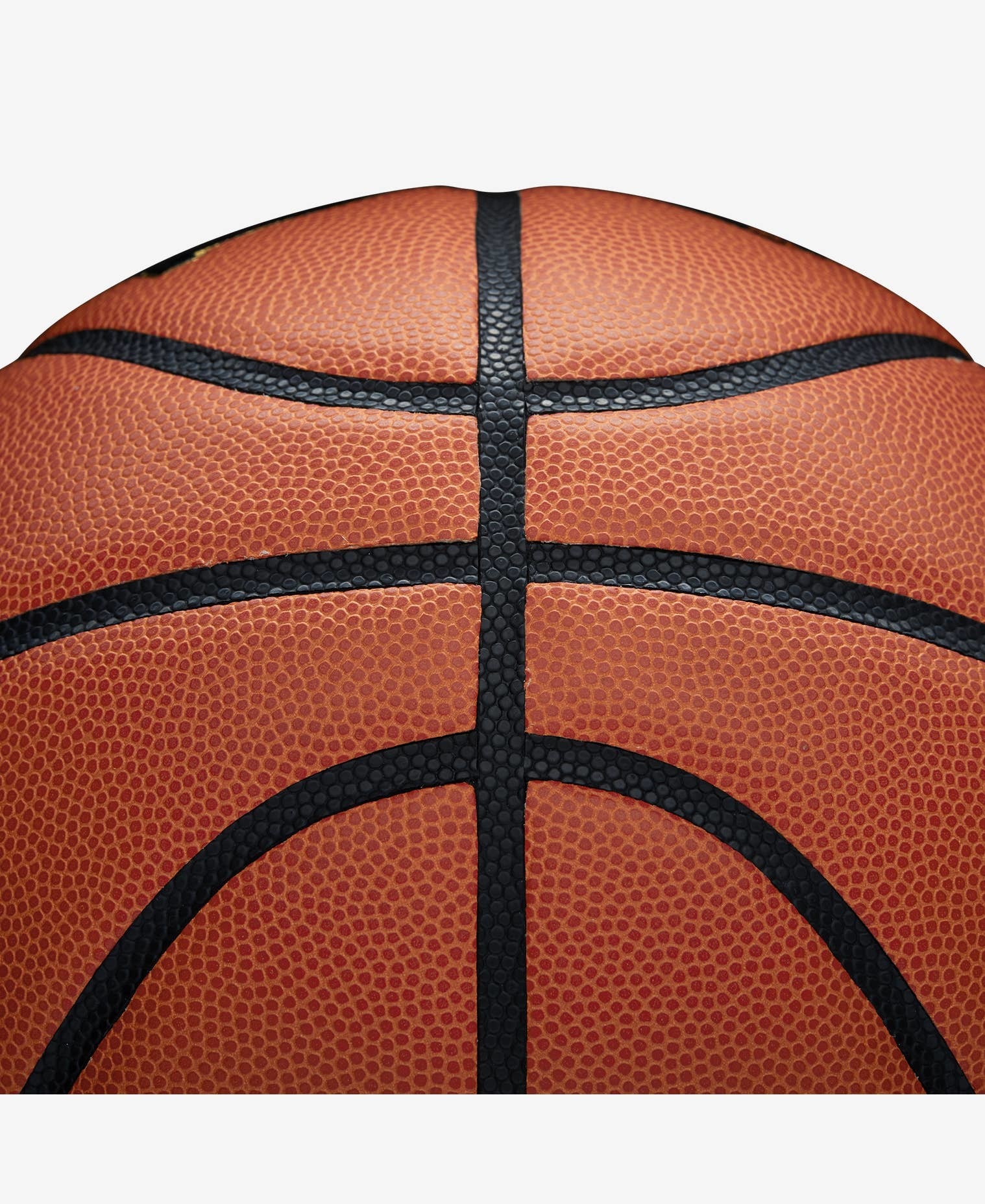 Wilson Evolution Women’s Indoor Basketball