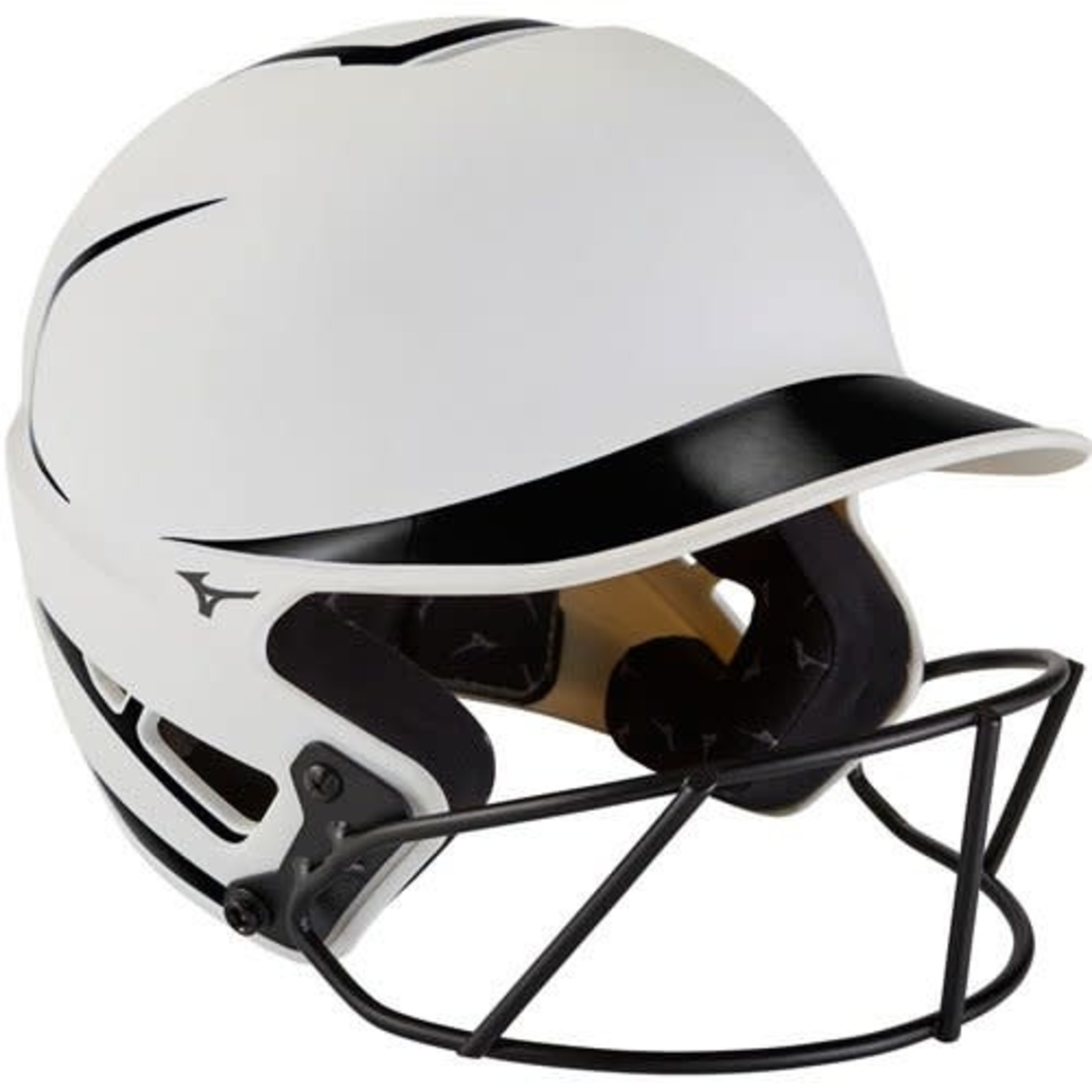 Mizuno F6 - BT HELMET-YTH W/FP MASK